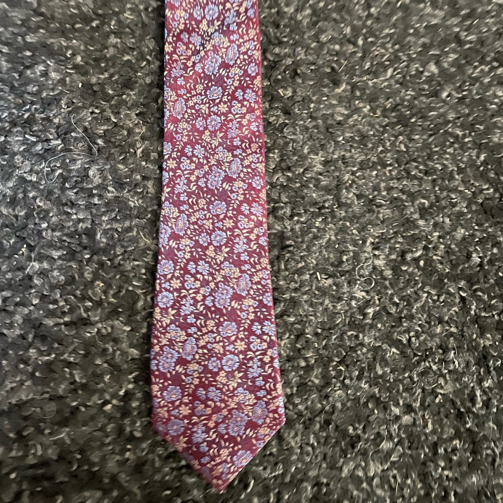 Tasso Elba paisley 100% Silk Tie